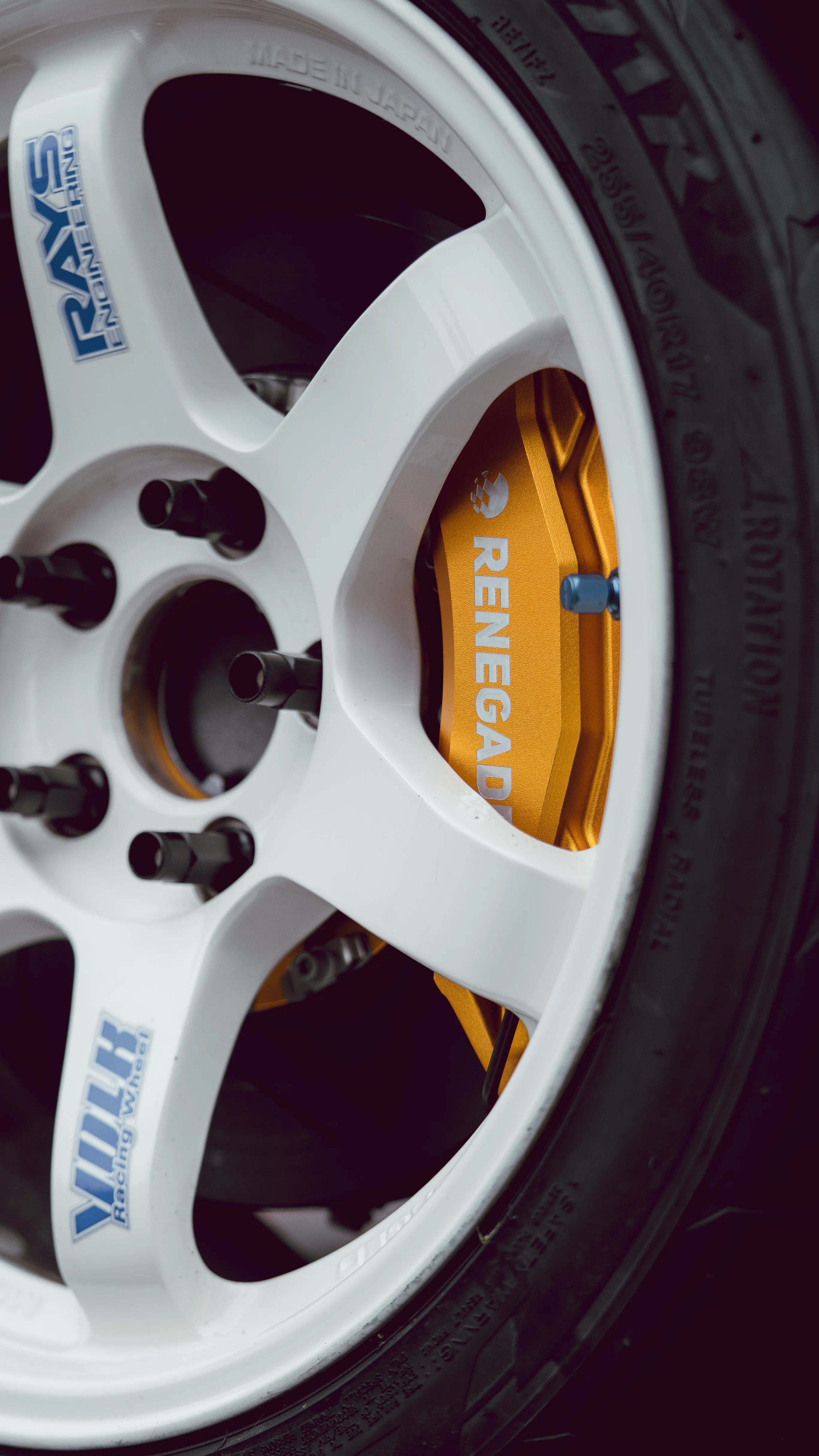 RENEGADE X APG TESLA MODEL 3 REAR BIG BRAKE KIT